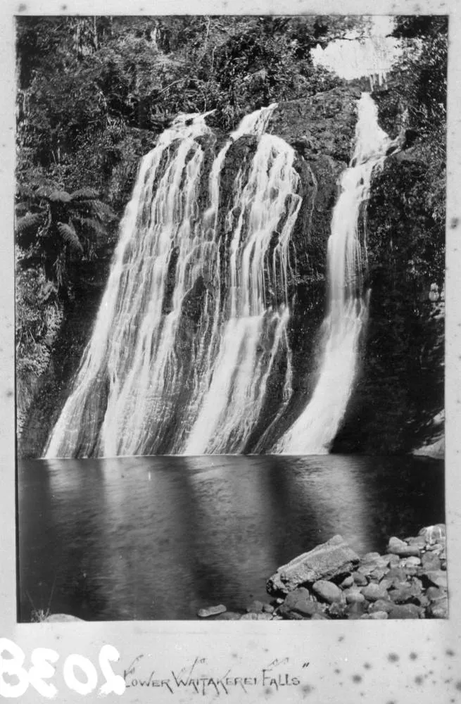 Lower Waitakere Falls, Cascade Kauri Park.