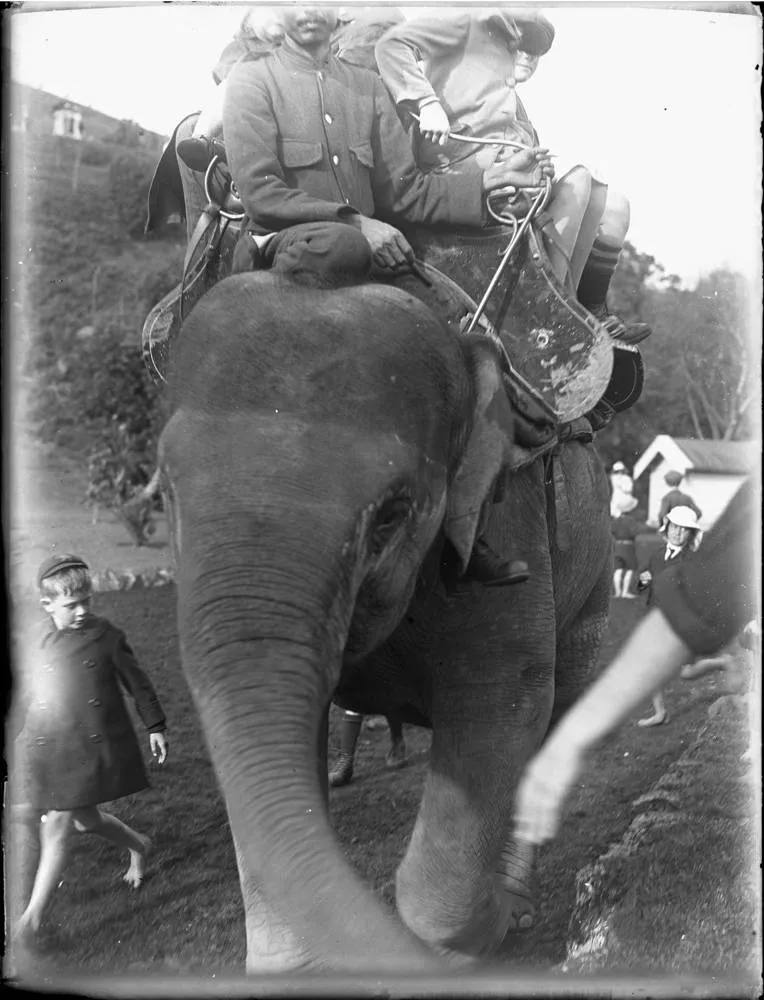 Children riding an elephant at Auckland Zoo, Western Springs