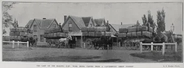 Image: THE LAST OF THE SEASON'S CLIP: WOOL BEING CARTED FROM A CANTERBURY SHEEP STATION