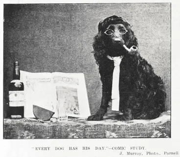 Image: 'EVERY DOG HAS HIS DAY.' - COMIC STUDY. J. Murray