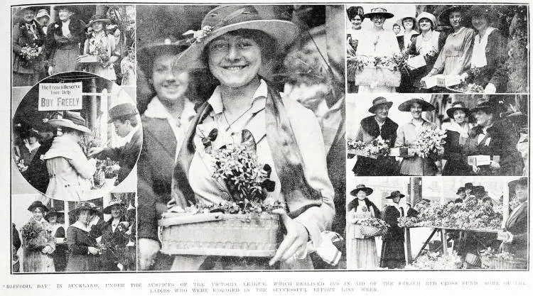 Daffodil Day in Auckland, under the auspices of the Victoria League