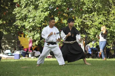 Image: Martial Arts demonstration,  Auckland Lantern Festival.