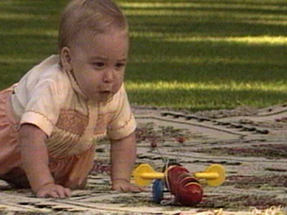 6.30PM News - Prince William and the Buzzy Bee