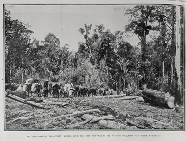 The First Stage Of The Journey Image: The First Stage Of The Journey