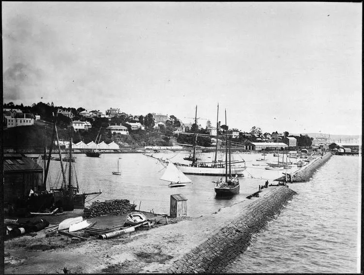 Mechanics Bay and Official Bay from Barnabas Point