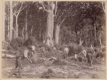 Image: Kauri Forest Gum Diggers