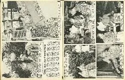 They Saw for Themselves