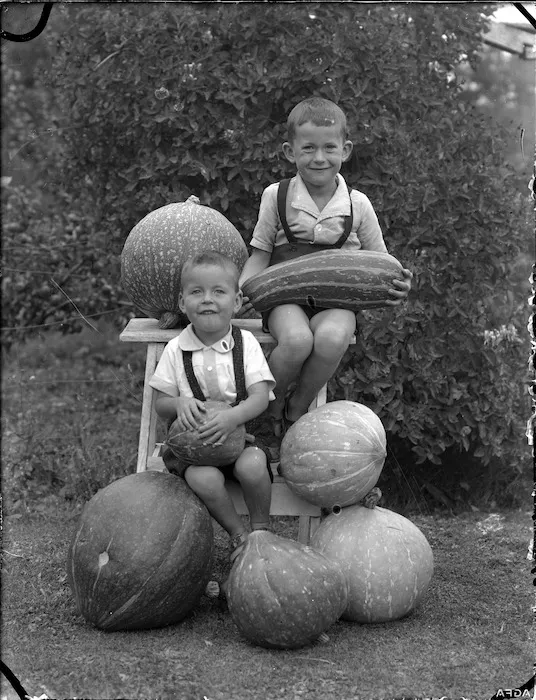 Albert Percy Godber's grandsons, Colin and Norman Hartwig, with marrows and pumpkins, Silverstream
