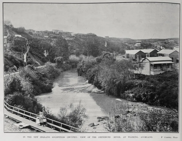 IN THE NEW ZEALAND GOLDFIELDS COUNTRY: VIEW OF THE OHINEMURI RIVER. AT WAIKINO, AUCKLAND