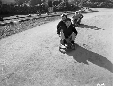 Image: Trolley racing