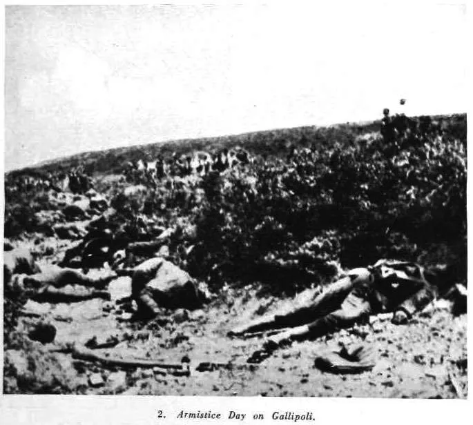 2. Armistice Day on Gallipoli