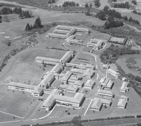 Middlemore Hospital: the first two decades