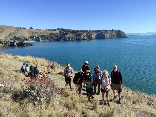 Walking the Awaroa-Godley Head Loop Track