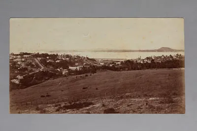 Auckland, from Domain