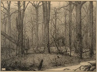 Image: The Charred remains of the forest