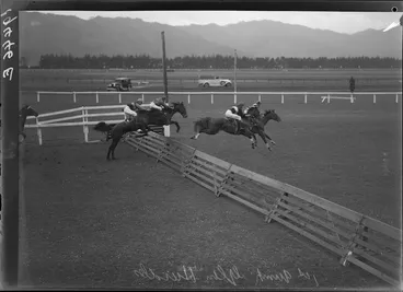 Image: Steeplechase, Trentham