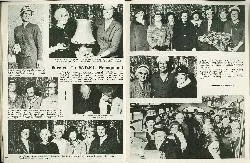 Service To W.D.F.F. Recognised