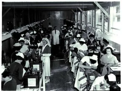 Mt Eden Dental Centre