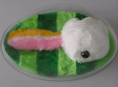 The Duck Rabbit Problem