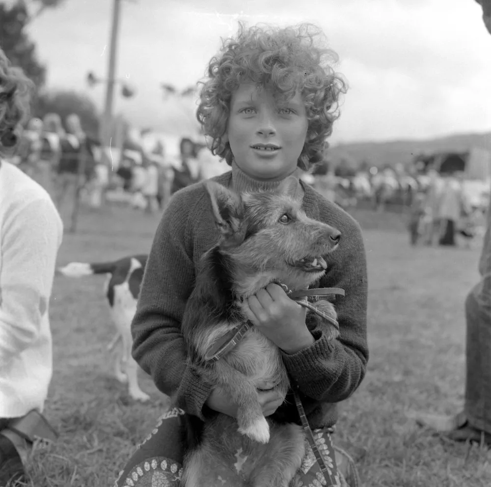 A & P show; pet parade; dog.