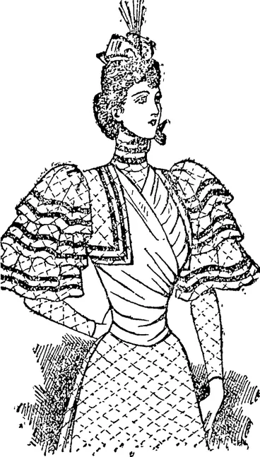 Image: A Stylish Costume, (Auckland Star, 25 November 1893)