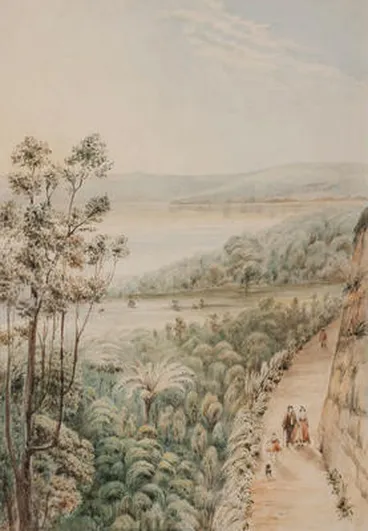 Image: Auckland Domain