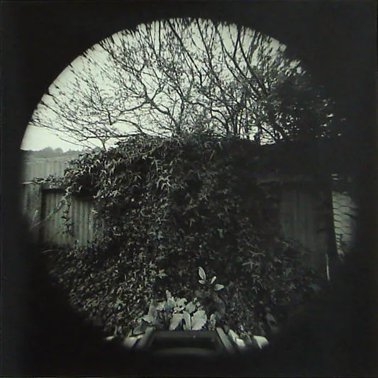 Fence over the Garden