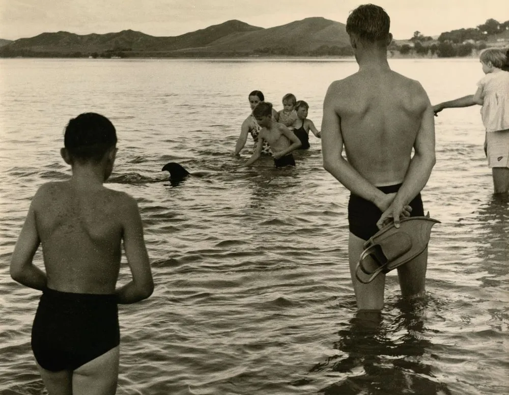 Crowd in the water, Opononi