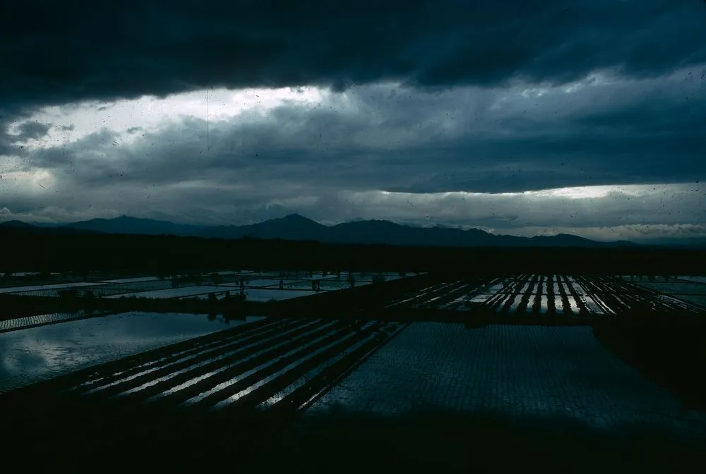 Japan Series: Landscape