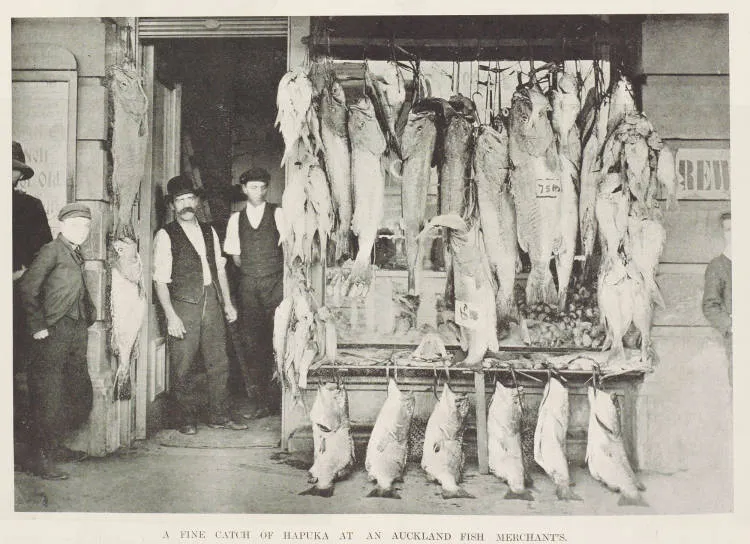 A fine catch of Hapuka at an Auckland fish merchant's