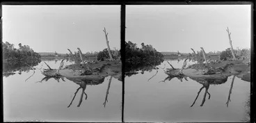 Image: Owaka River, Catlins, Otago