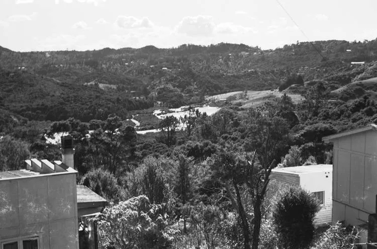 Little Muddy Creek, Laingholm.