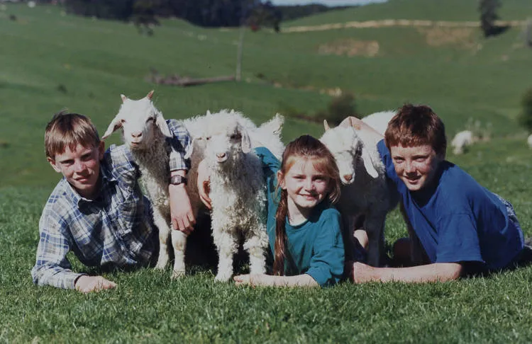 Kids and goats, Clevedon, 1994.