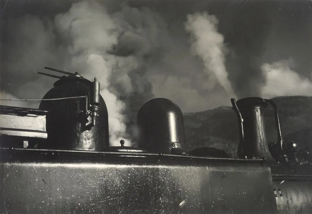 [Frosty Morning, Thorndon]