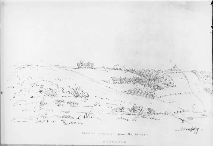 Auckland Hospital from the Domain, 1855