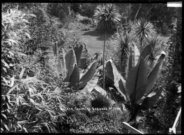 Image: Waiata Tropical Gardens, Birkenhead, Auckland