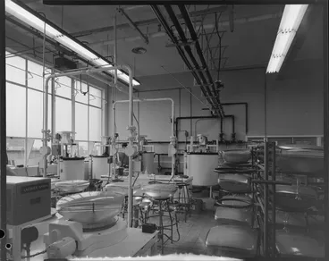 Image: Settle room, EDAC building, Naenae, Lower Hutt, Wellington