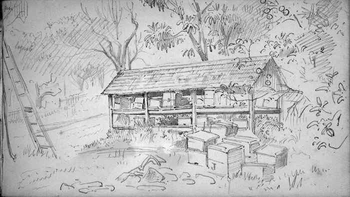 [Walsh, Philip] 1843-1914 :Mr J. Kemp's Kerikeri Sept 24 1888