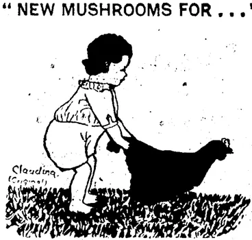 Image: Edith Qulnn (8) Kaiwarra Evelyn Chalker (J) Nerrklin. Laurie Fitzgerald (?) Miramar "White Lady" (13) , .Lyall Bay Mary Gray (II) Miramar Joan M Hiaia Margaret Oalley (12) Lower Hutt Annette Dalley (4) Lejwer Hutt (Evening Post, 18 January 1936)