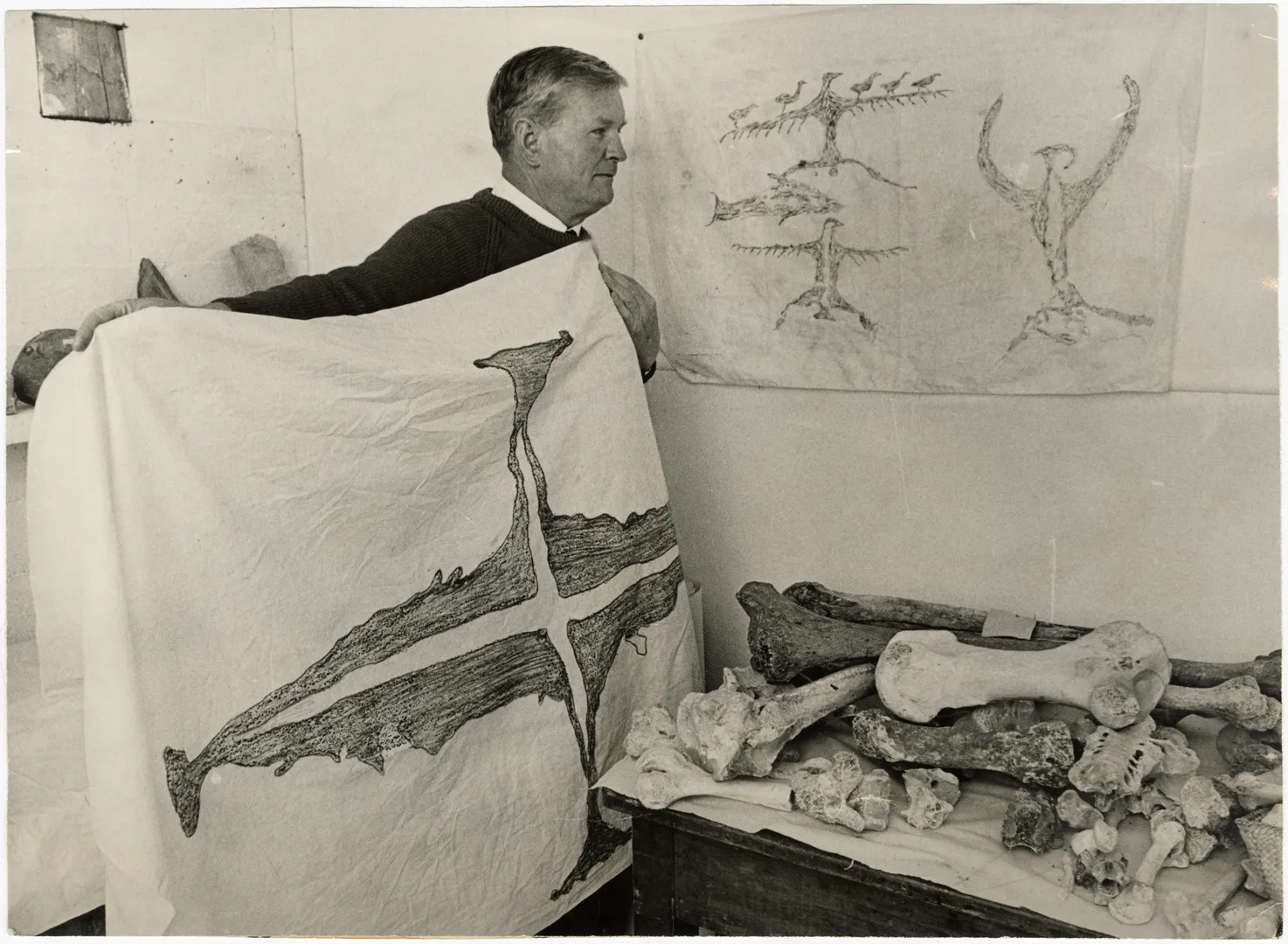 Moa bones and rock drawings