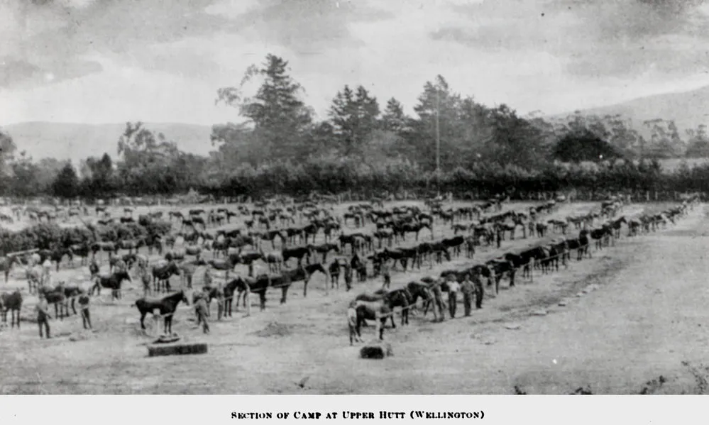 Remount depot, World War I, on Gibbons Street.