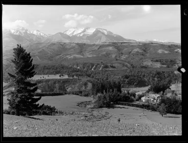 Image: Sherwood Station, Waiau, 1950