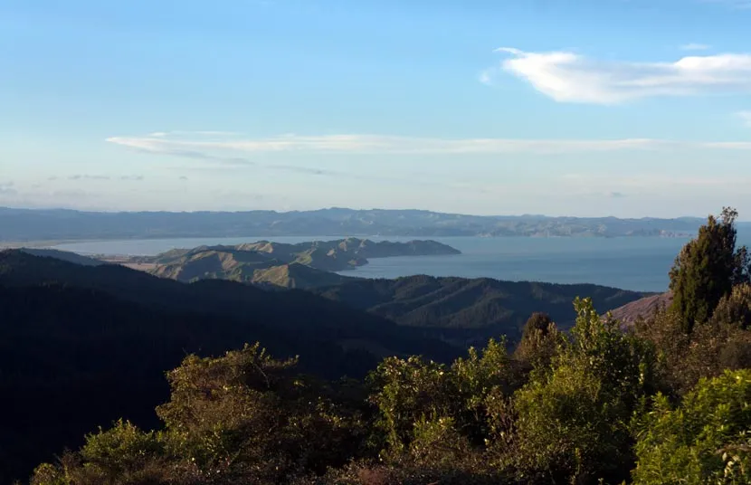 Te Kurī-a-Pāoa/Young Nicks Head