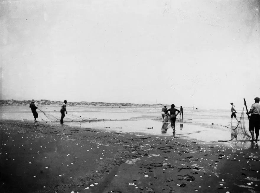 Net fishing, Hokio Beach, 1905