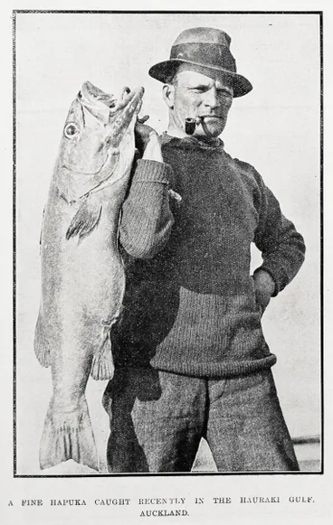 Image: A fine hapuka caught recently in the Hauraki Gulf, Auckland