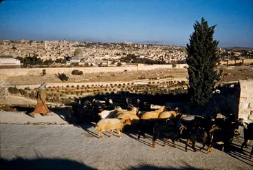 Image: Israel: Jerusalem