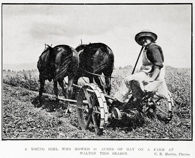 A young girl who mowed 50 acres of hay on a farm at Walton this season