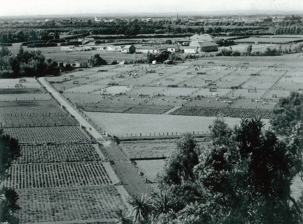 No. 1 Sheep Farm from Moginie Hill, circa 1935-1937