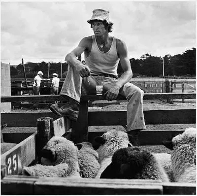 Swiss Maid Yoghurt Assignment