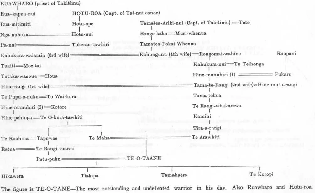 A black and white diagram showing the whakapapa from Ruawharo, Hoturoa and Tamate-Ariki-nui to Te-o-taane